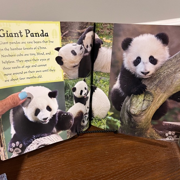 I Love Baby Animals Book Over 50 Cuties! NWT - Picture 3 of 4